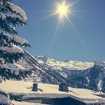 Отель Alpenbad Hohenhaus 4*