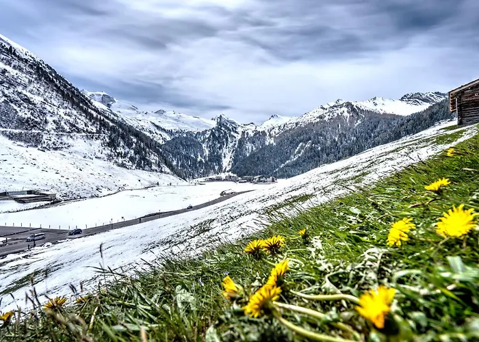 Alpenbad Hohenhaus فندق تكس