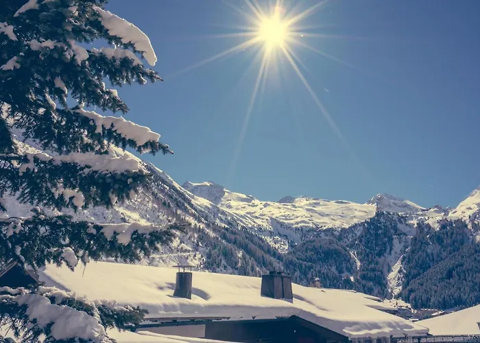 Hotel Alpenbad Hohenhaus 4*