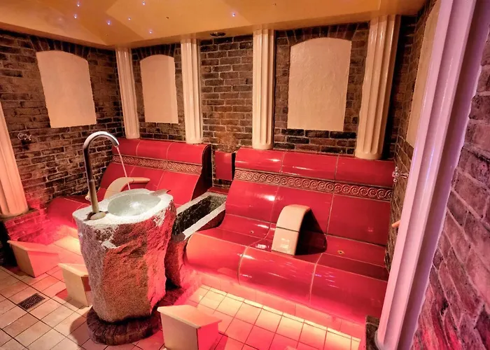 فندق Alpenbad Hohenhaus 4*