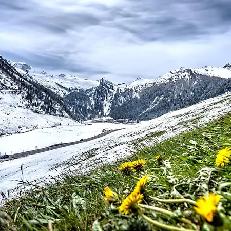 Alpenbad Hohenhaus Hotel Tux