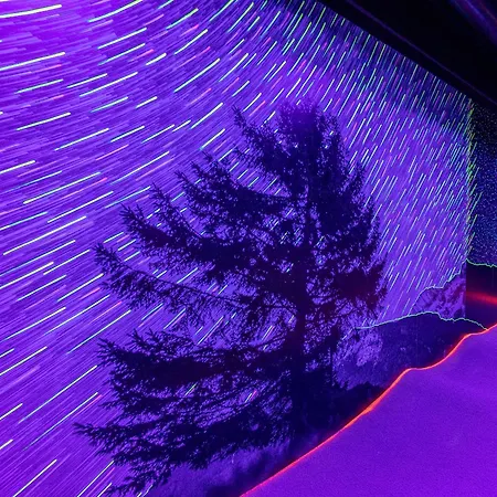 Hotel Alpenbad Hohenhaus Tux